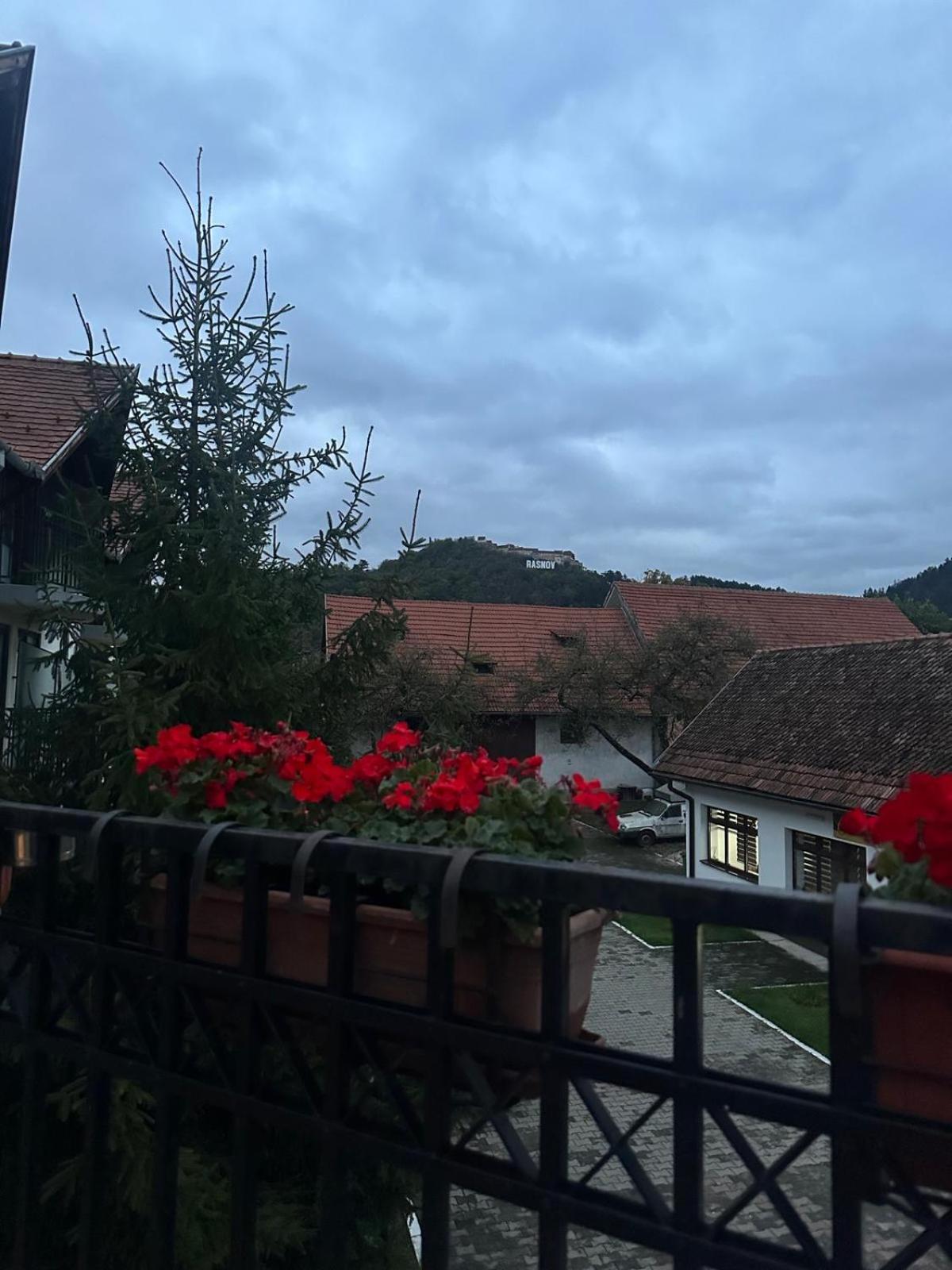 Pensiunea Casa Saxonia Rîşnov Exteriér fotografie
