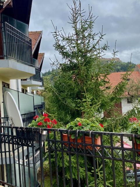 Pensiunea Casa Saxonia Rîşnov Exteriér fotografie